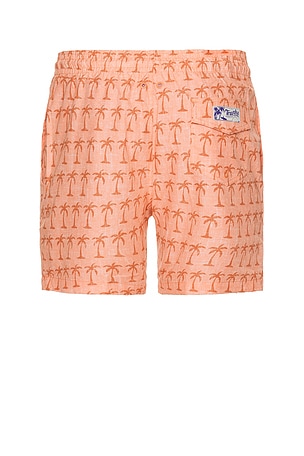 Trunks Surf & Swim Co
