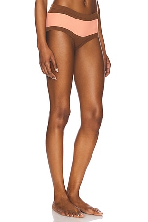 Tropic of C Ballet Briefs in Brown,Blush