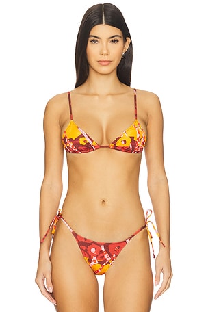 Equator Triangle Bikini Top Tropic of C