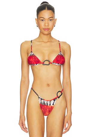Shell Equator Bikini Top Tropic of C