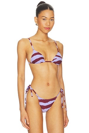 Tropic of C Equator Bikini Top in Purple