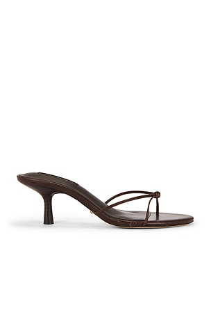 Dana Heel Tony Bianco