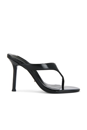 Dynasty Heel Tony Bianco