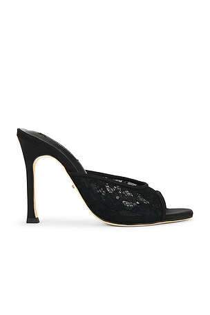 Dashing Heel Tony Bianco