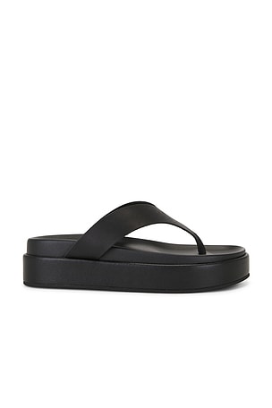 Jetta Sandal Tony Bianco