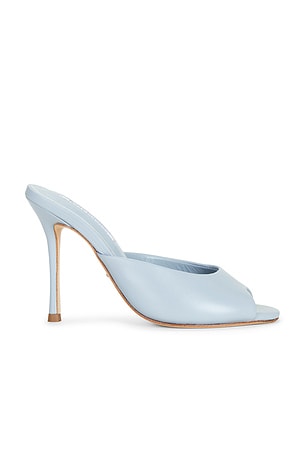 Sandra Mule Tony Bianco