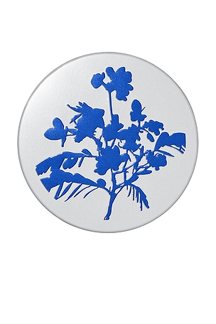 Botanical Barrier Rescue Balm The Outset