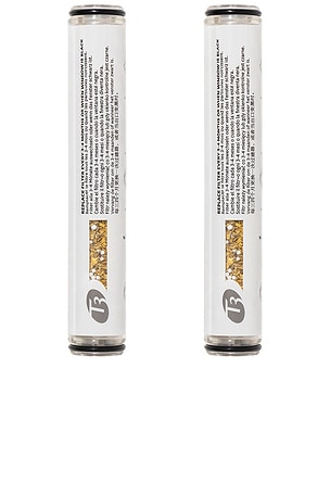 Source Hand-held Showerhead Replacement Filter 2 Pack T3