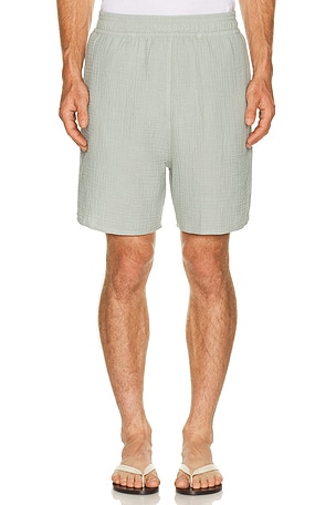 Smooth Short True Tribe