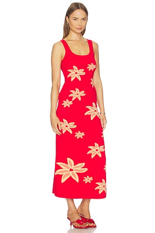 The Wolf Gang Aggie Maxi Dress in Red