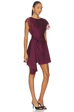 AMUR Zina Ruched Mini Dress in Burgundy