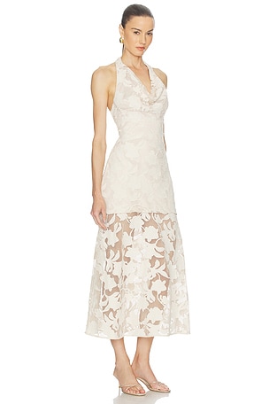 AMUR Calypso Cowl Dress in Ivory