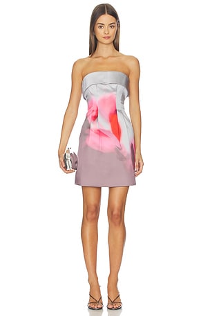 Zelie Mini Dress AMUR