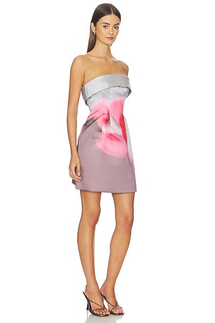 AMUR Zelie Mini Dress in Grey