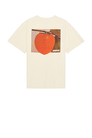 Persimmon Tee UPRISERS