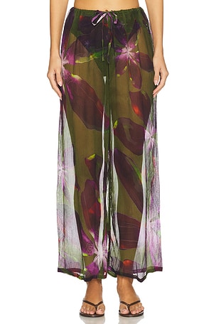 Petra Pant vitamin A