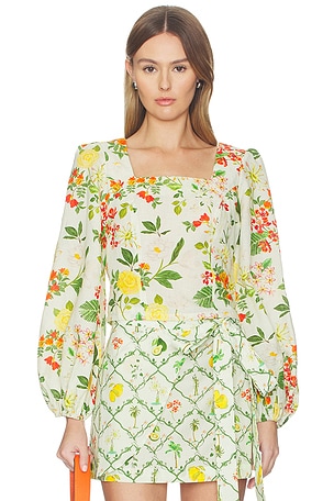 Square Neck Crop Blouse Verandah