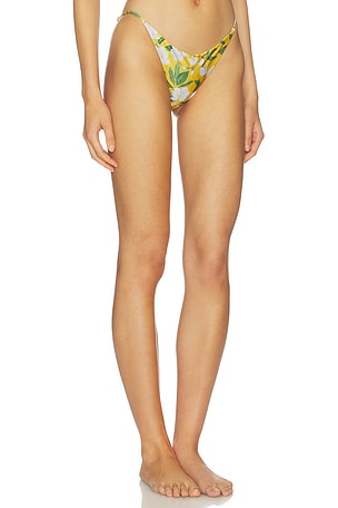 Verandah Low-rise Bikini Bottoms in Multi