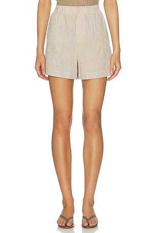 Darina Short Varley