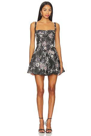 Andy Dress V. Chapman