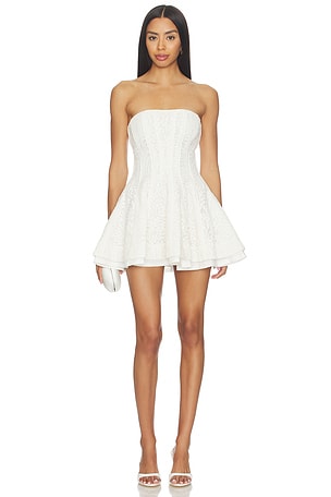 Rosemary Mini Dress V. Chapman