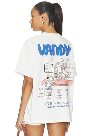 VANDYTHEPINK