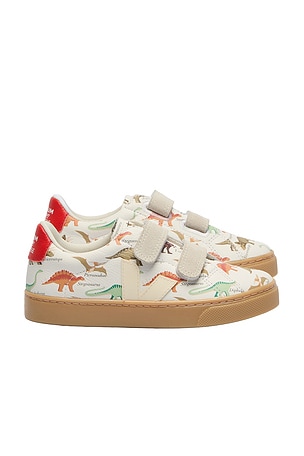 Kids X Museum D'Histoire Naturelle Small Esplar Sneaker Veja