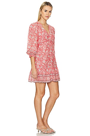 Velvet by Graham & Spencer Mary Mini Dress in Red