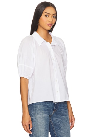 Velvet by Graham & Spencer Autumn Top in White