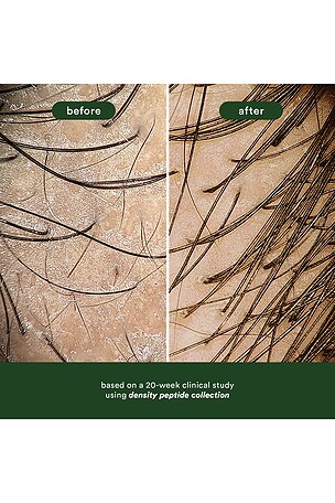 VERB Density Peptide Shampoo 12oz