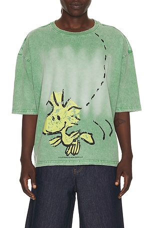 x Peanuts Woodstock Tee Vintage Heavy