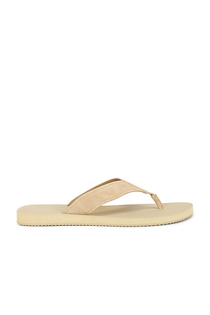 Fiji Suede Thong Sandal Vince