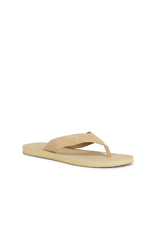 Vince Fiji Suede Thong Sandal in Brown