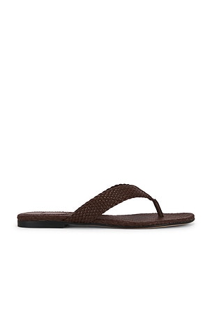 Lotus Sandal Vince