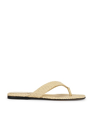 Lotus Sandal Vince