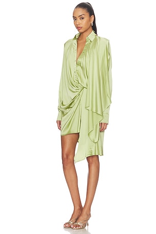 Vaillant Isadora Dress in Green