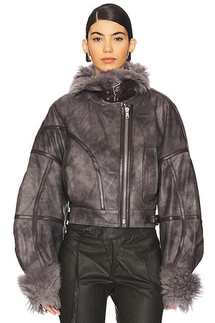 Signature Aviator Jacket Vaillant