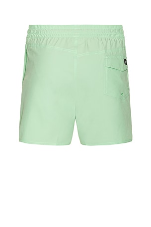 Volcom Lido Solid Swim Trunks in Mint