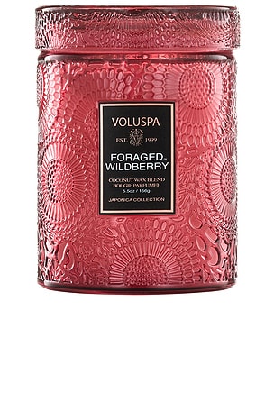 Foraged Wildberry Small Jar Voluspa