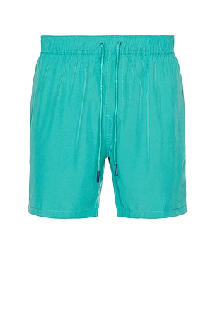 Performance Stretch Lined Volley Swim Short Vintage Summer