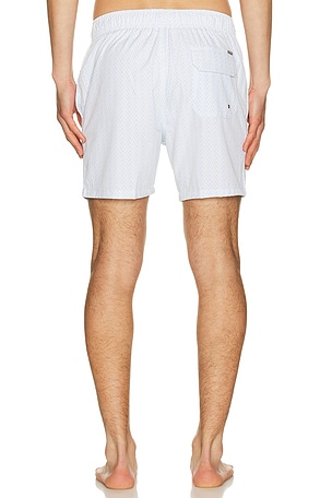 Ventage Summer 4 Way Stretch Volleys en Vert