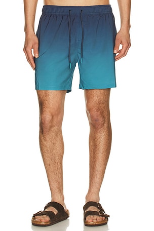 Performance Stretch Lined Volleys Vintage Summer