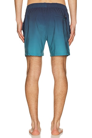 Vintage Summer Performance Stretch Lined Volleys in Teal