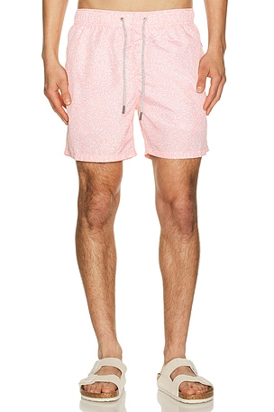 Ponji Swim Volleys Vintage Summer