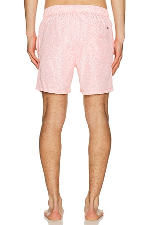 Vintage Summer Ponji Swim Volleys in Coral. Size XXL/2X. Also