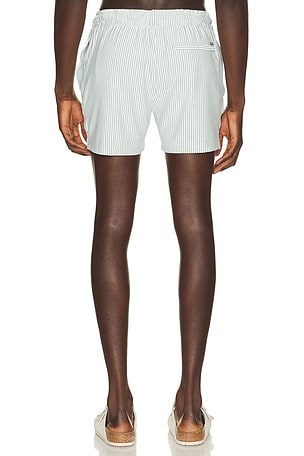 Vintage Summer Stripe Knit Shortie Volley in Sage,White