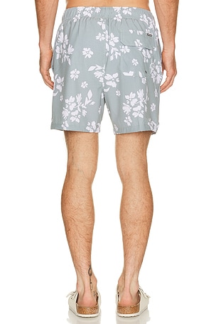 Vintage Summer Seersucker Strech Volley Swim Trunks in Green