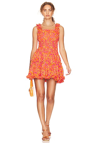 Coqueta Mini Dress Waimari
