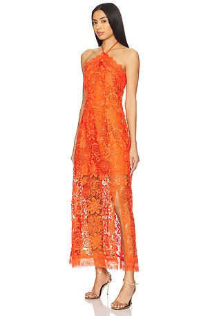 Waimari Viscaya Maxi Dress in Orange