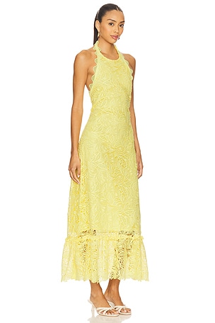 Waimari Dovima Maxi Dress in Lemon